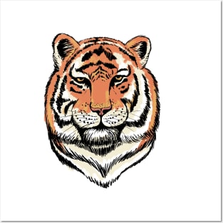 Tiger Posters and Art